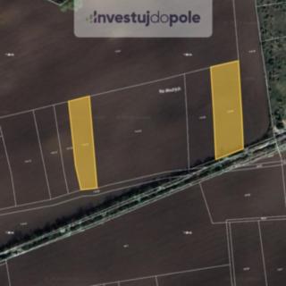 Prodej zemědělské půdy 5267 m² Nučice