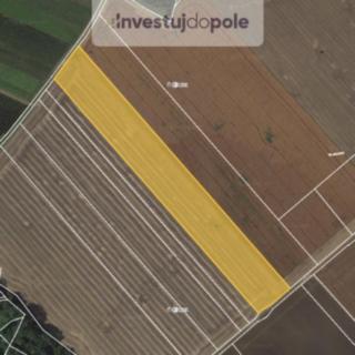 Prodej zemědělské půdy 5 418 m² Kopidlno Pševes