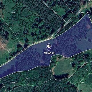 Prodej lesa 18501 m&sup2; Jasenná