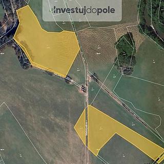 Prodej louky 5 969 m² Běleč nad Orlicí
