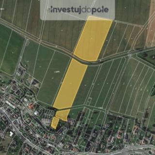 Prodej zemědělské půdy 1329 m² Brodek u Konice