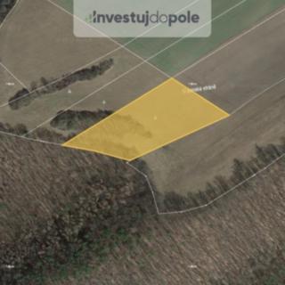 Prodej louky 7 186 m² Nižbor Stradonice