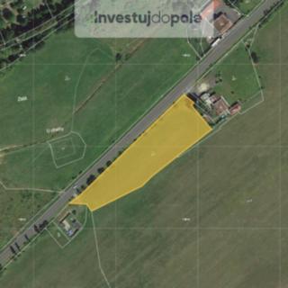 Prodej louky 7 490 m² Kynšperk nad Ohří Zlatá