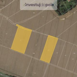 Prodej zemědělské půdy 1 297 m² Bakov nad Jizerou Zvířetice