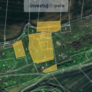 Prodej podílu lesa 3124 m² Budyně nad Ohří
