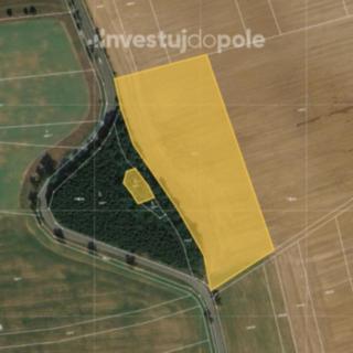 Prodej zemědělské půdy 16472 m² Šanov