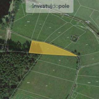 Prodej zemědělské půdy 3 884 m² Nepomuk