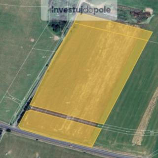Prodej zemědělské půdy 39 307 m² Milotice nad Opavou