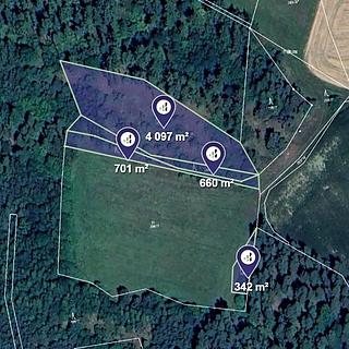 Prodej lesa 5 800 m² Čepřovice