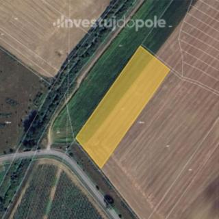 Prodej zemědělské půdy 15874 m² Milotice