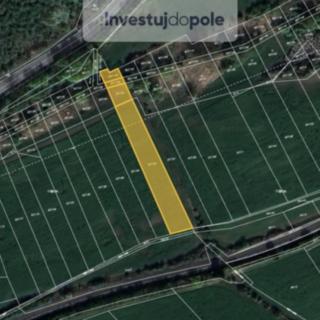 Prodej zemědělské půdy 2 632 m² Nučice