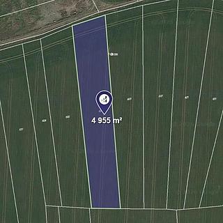 Prodej zemědělské půdy 4 955 m² Mladá Vožice