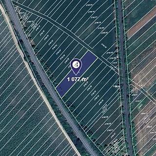 Prodej zemědělské půdy 1077 m&sup2; Velká nad Veličkou