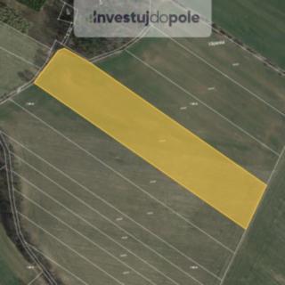 Prodej zemědělské půdy 17583 m² Neustupov