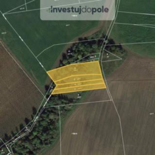 Prodej ostatního pozemku 3 723 m² Nové Sedlo Číňov