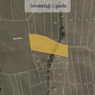 Prodej zemědělské půdy 4701 m² Biskupice