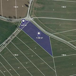 Prodej zemědělské půdy 2 628 m² Slapsko Zahrádka