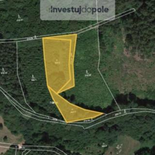 Prodej louky 2849 m² Vsetín