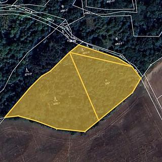 Prodej lesa 6929 m² Žatec