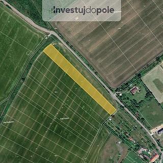 Prodej zemědělské půdy 2 046 m² Věžky