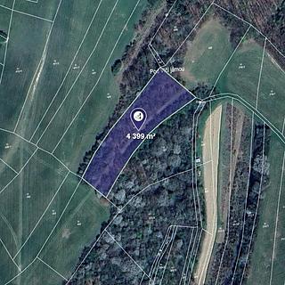 Prodej louky 4 399 m² Košíky