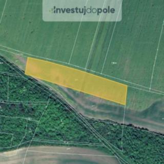 Prodej zemědělské půdy 5755 m² Chožov