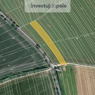 Prodej zemědělské půdy 1 589 m² Zborovice Medlov