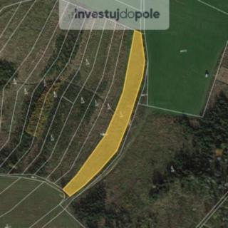 Prodej lesa 3345 m² Červený Hrádek