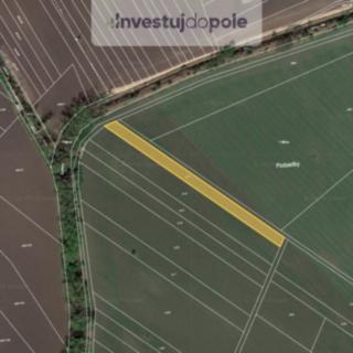 Prodej zemědělské půdy 1 817 m² Kostice