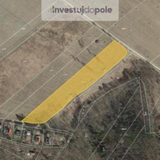 Prodej zemědělské půdy 7869 m² Sýkořice