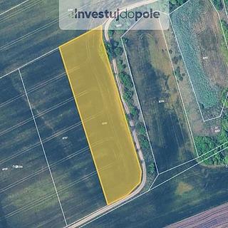 Prodej zemědělské půdy 6139 m² Medlov