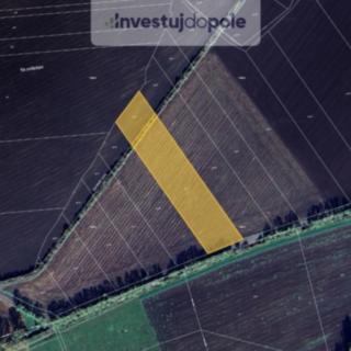 Prodej zemědělské půdy 1 329 m² Úžice Netřeba