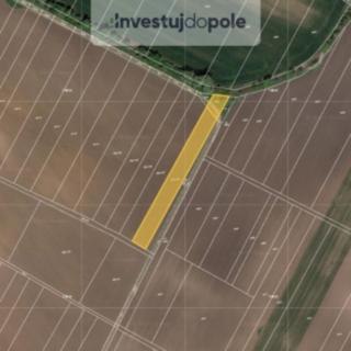 Prodej zemědělské půdy 2441 m² Břeclav
