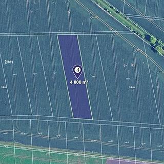 Prodej zemědělské půdy 4 000 m² Kobylnice
