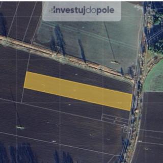 Prodej zemědělské půdy 3 650 m² Lety