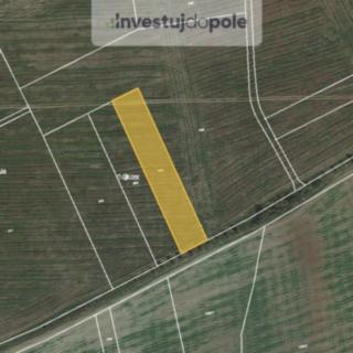 Prodej zemědělské půdy 1 090 m² Zbůch
