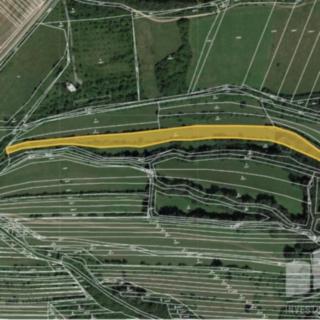 Prodej louky 1 144 m² Velká nad Veličkou
