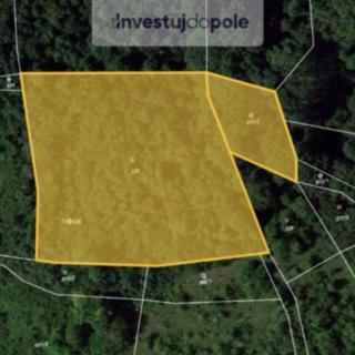 Prodej ostatního pozemku 9 078 m² Vinařice