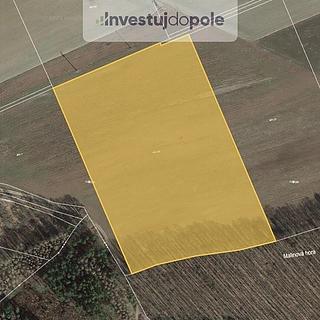 Prodej zemědělské půdy 29 079 m² Hracholusky