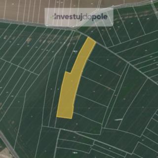 Prodej zemědělské půdy 15 562 m² Chrast Podlažice