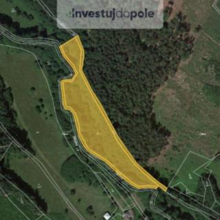 Prodej louky 4 230 m² Brzice Žďár