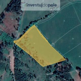 Prodej louky 14 963 m² Jimramov Ubušín