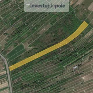 Prodej podílu louky 3570 m² Němčičky