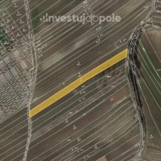 Prodej zemědělské půdy 1 956 m² Čejkovice