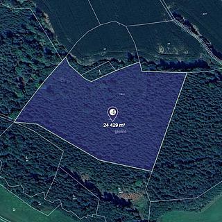 Prodej lesa 25533 m&sup2; Krouna