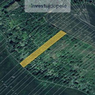 Prodej louky 2 897 m² Velké Němčice