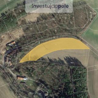 Prodej zemědělské půdy 6316 m² Pavlíkov