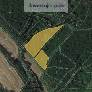 Prodej louky 1 118 m² Rokytňany Dolní