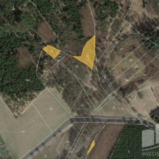 Prodej lesa 1612 m² Zbraslavice