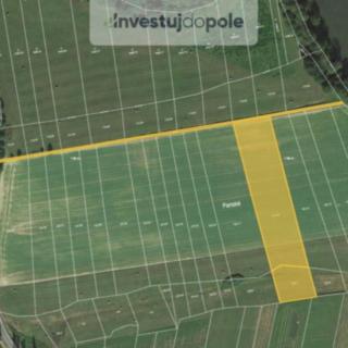 Prodej zemědělské půdy 1 503 m² Neurazy Vojovice